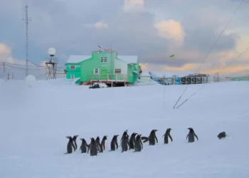 Цьогоріч зима в районі станції “Академік Вернадський” була найхолоднішою за останні 6 років, – НАНЦ