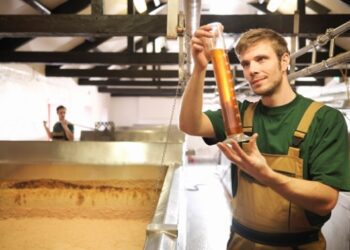 В Україні виробництво пива зросло на 4,9%