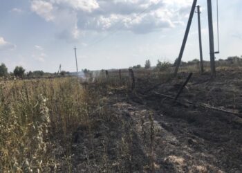 Лелека став причиною пожежі в селі Собич, вщент згорів житловий будинок (+ відео)