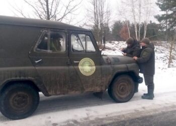 Лісова охорона ДП «Кролевецький лісгосп» оберігає хвойні насадження