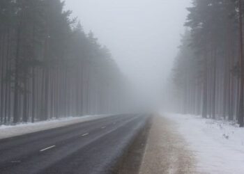 На Сумщині очікується туман