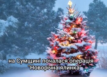 На Сумщині почалася операція “Новорічна ялинка”
