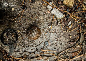 На Сумщині за тиждень піротехніки ДСНС виявили та знищили 34 вибухонебезпечних предметів