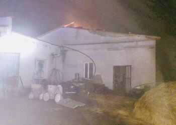 Окупанти нанесли удар по фермерському господарству Кролевецької громади