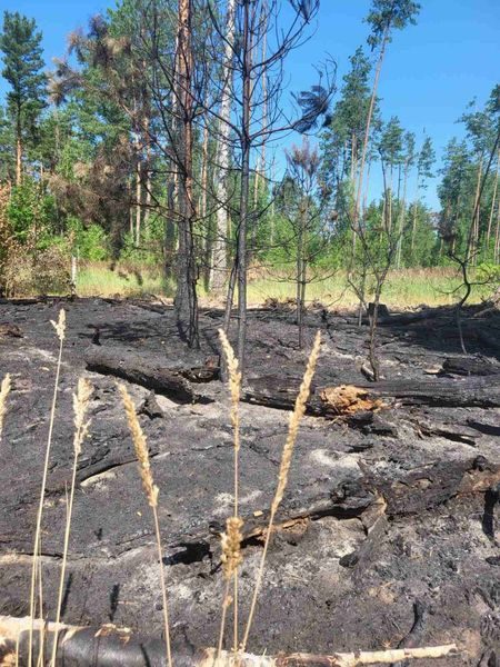 Шосткинське Управління з питань надзвичайних ситуацій попереджає про найвищий рівень пожежної небезпеки