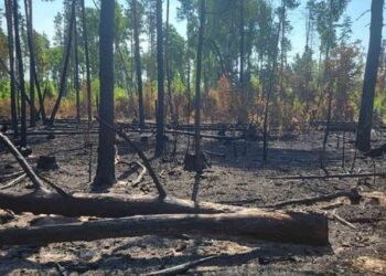 Шосткинське Управління з питань надзвичайних ситуацій попереджає про найвищий рівень пожежної небезпеки