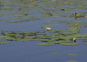Шосткинські комунальники облаштували новий пляж для мешканців громади