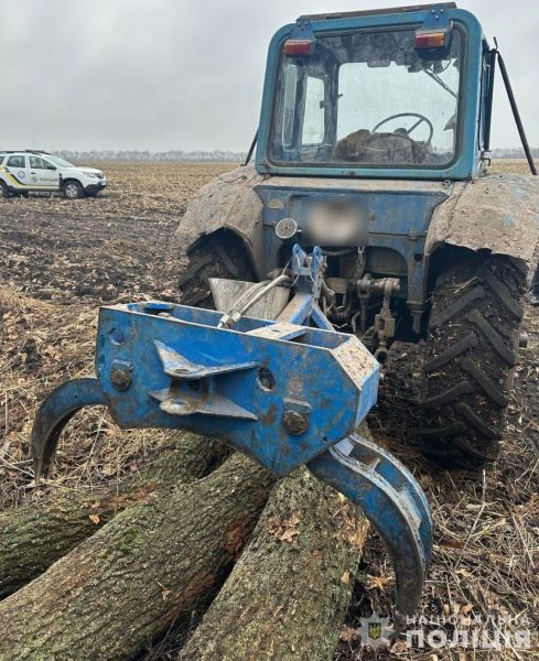 У Конотопі поліцейські задокументували факт незаконної вирубки дерев