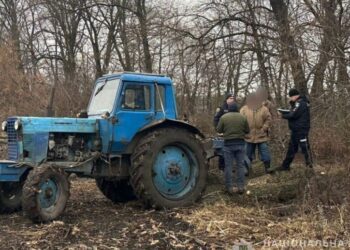 У Конотопі поліцейські задокументували факт незаконної вирубки дерев