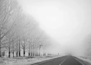 У перші дні зими буде до +2 і без опадів, на дорогах місцями ожеледиця