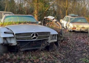 Класика на подвір’ї: виявлено кладовище старовинних Mercedes-Benz (ВІДЕО)