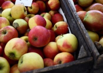 Ціни на яблука в Україні найвищі за останні вісім років – аналітики