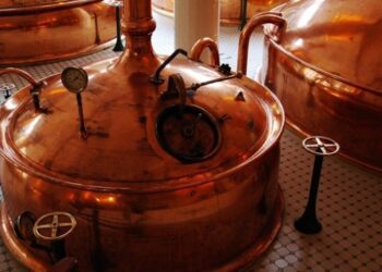 В Україні зросло виробництво пива