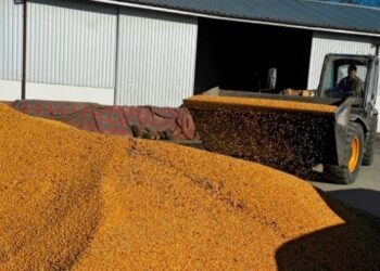 Україна в січні експортувала 3,1 млн тонн зерна