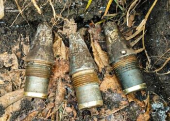 За добу піротехніками ДСНС на Сумщині знищено 5 боєприпасів