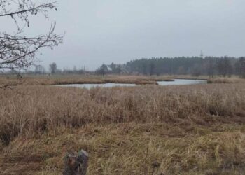 З річки Сироватка на Сумщині дістали тіло чоловіка