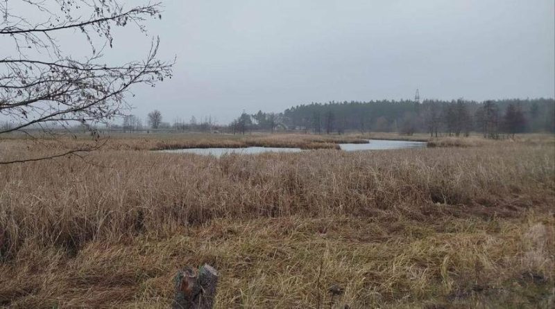 З річки Сироватка на Сумщині дістали тіло чоловіка