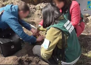 Створення небезпеки для довкілля під час ремонту свердловини: на Сумщині повідомлено про підозру службовцю нафтогазовидобувного підприємства