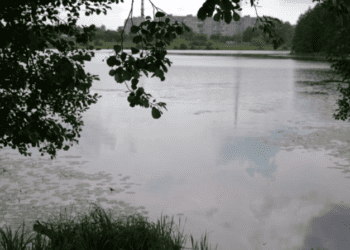 Чому погіршився стан води у Галенківському озері та як цьому завадити, з’ясовував очільник міста