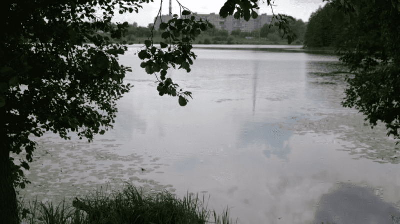 Чому погіршився стан води у Галенківському озері та як цьому завадити, з’ясовував очільник міста