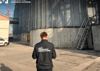 БЕБ викрило податкові махінації зернового холдингу на 30 млн