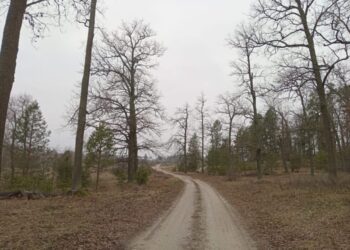 До +9: наприкінці січня – справжня весняна погода!