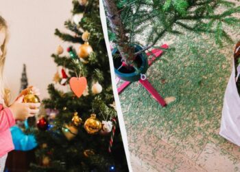 До Старого Нового року чи після: коли прибирати ялинку за правилами та прикметами