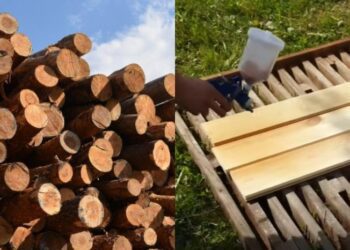 Дошки роками не гнитимуть, навіть якщо на вулиці сиро: ось чим потрібно їх обробити