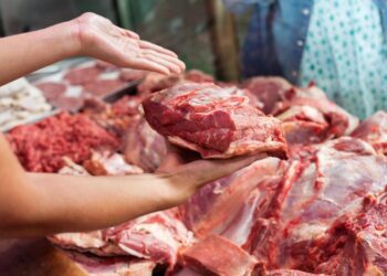 Яку частину свинини брати для відбивних, на шашлик і котлети: детальний гайд (інфографіка)