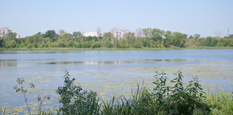 Купатися заборонено: якість води у Галенківському озері не відповідає санітарно-гігієгічним нормам