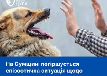 На Сумщині погіршується епізоотична ситуація щодо сказу серед тварин