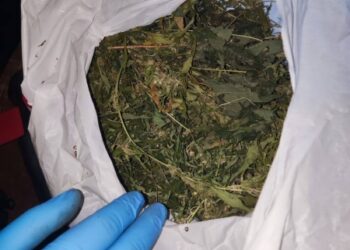 Правоохоронці Сумщини задокументували чотири злочини в сфері незаконного обігу наркотиків, в тому числі у Конотопі