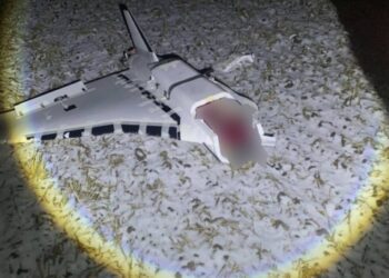 Прикордонники показали фото трьох знищених безпілотників