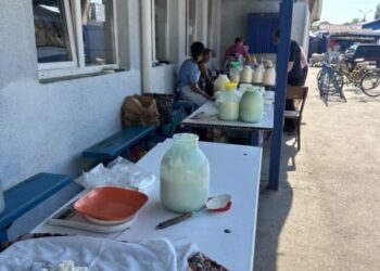 Продукти на ринках та стихійних місцях торгівлі «засмагають» на сонці увесь день: які температурні норми зберігання молочної та м’ясної продукції