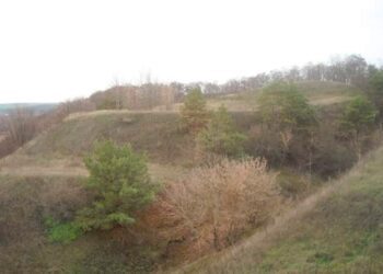 Прокуратура зберегла археологічний комплекс “Ницаха” на Охтирщині