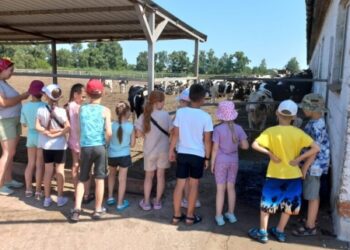 Третьоклашки Шосткинської школи №13 вперше побували на тваринницькій фермі у с. Чапліївка