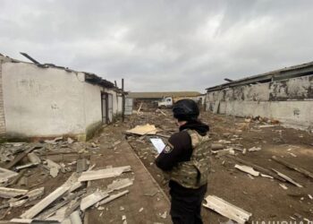 У Кролевці від атаки БПЛА постраждали тварини на фермі