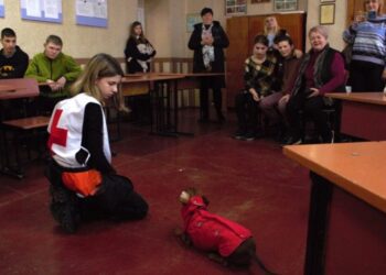 В одному з навчальних закладів Конотопа відбувся захід з каністерапії