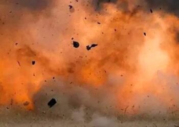 Вночі ворог атакував ферму на Сумщині: загинули тварини