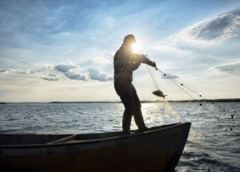 До держбюджету вперше надійшли кошти за промисловий вилов риби