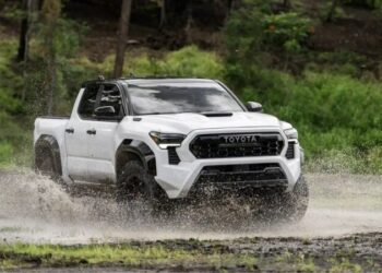 Фахівці назвали найкращі пікапи за співвідношенням ціни та якості (ФОТО)