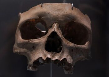 Вчені знайшли докази канібалізму у людей 18 тисяч років тому