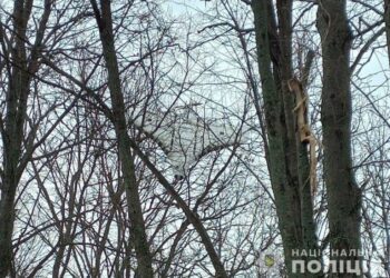 На Роменщині збитий БПЛА застряг у гілках дерева