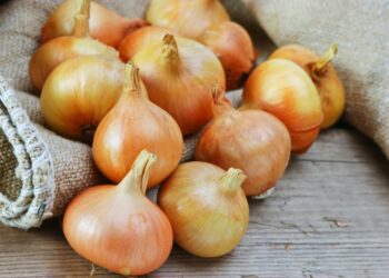 Ціни на цибулю в Україні наближаються до мінімуму за 4 роки: скільки коштує кілограм
