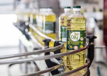 Білорусь продає ЄС олію з ріпака, вкраденого на окупованій Херсонщині – ЗМІ