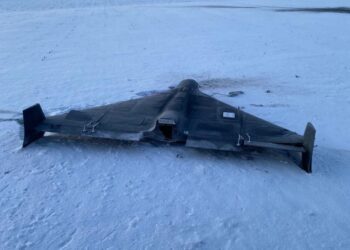 Прикордонники показали збитий над Сумщиною “Шахед”