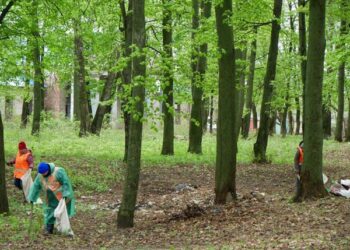 Стартувало опитування щодо якості роботи роменських комунальників