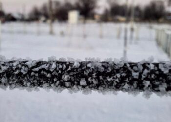 У Конотопі бачили кристалічну паморозь