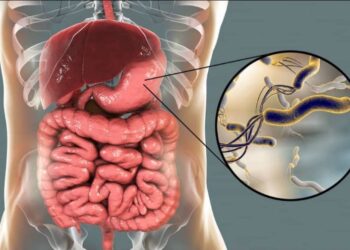 У Шостці аналіз крові на Helicobacter pylori, що спричиняє виразку шлунку й кишківника, можна здати усього за 179 гривень!