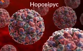 У Шосткинському районі виявили норовірус ІІ типу